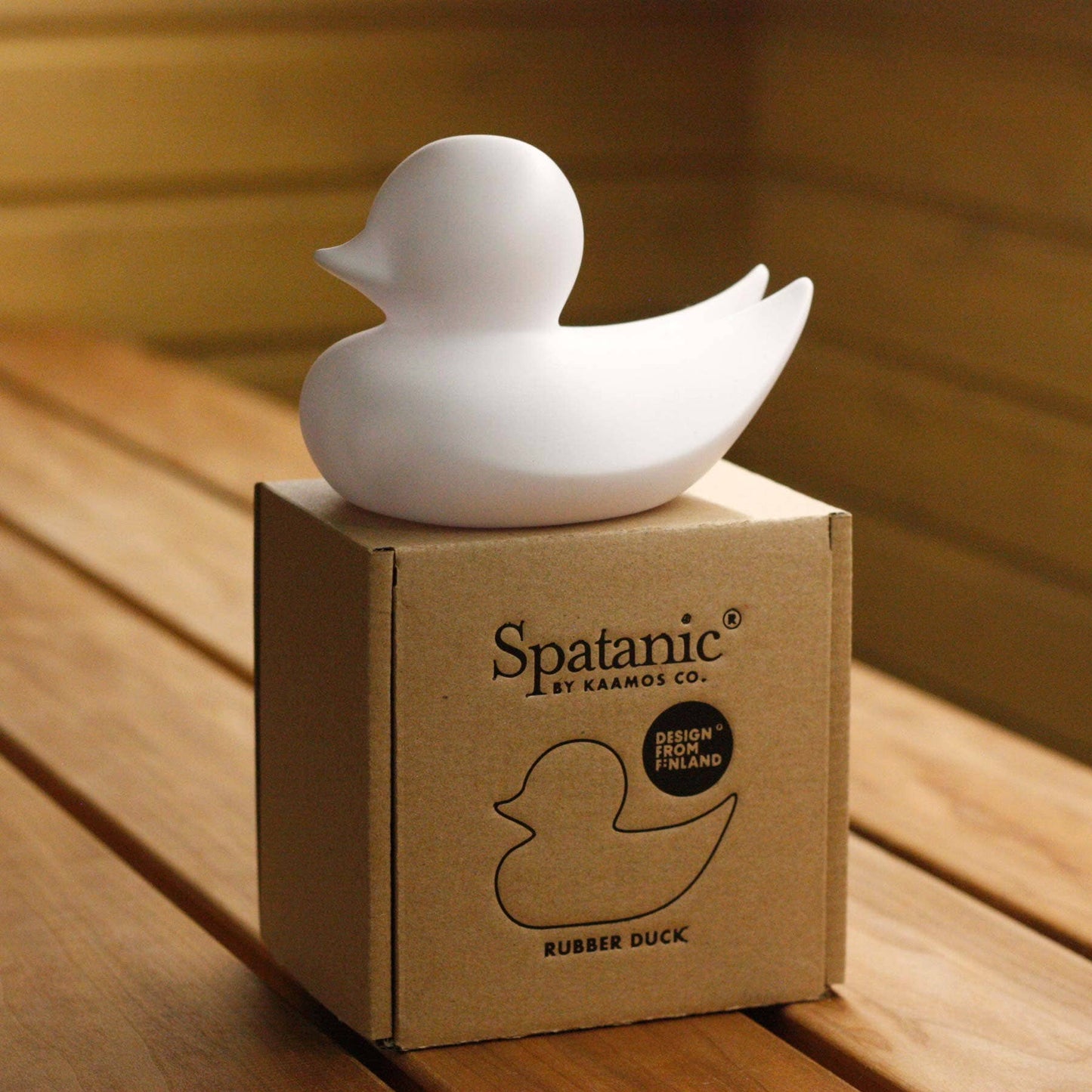Canard Minimaliste