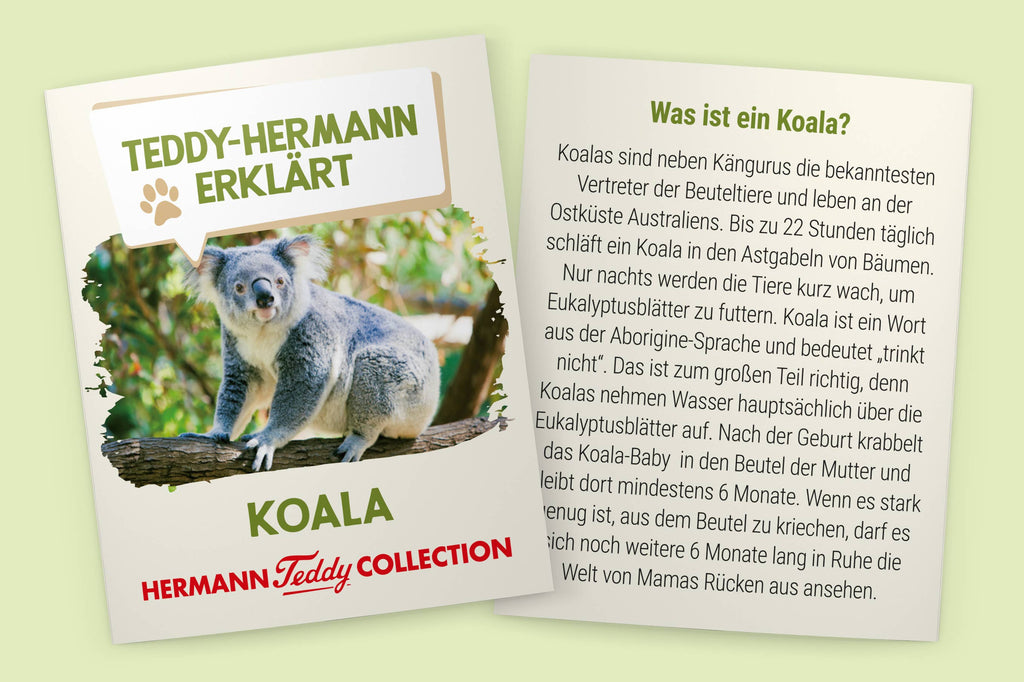 Peluche Koala - Teddy Hermann