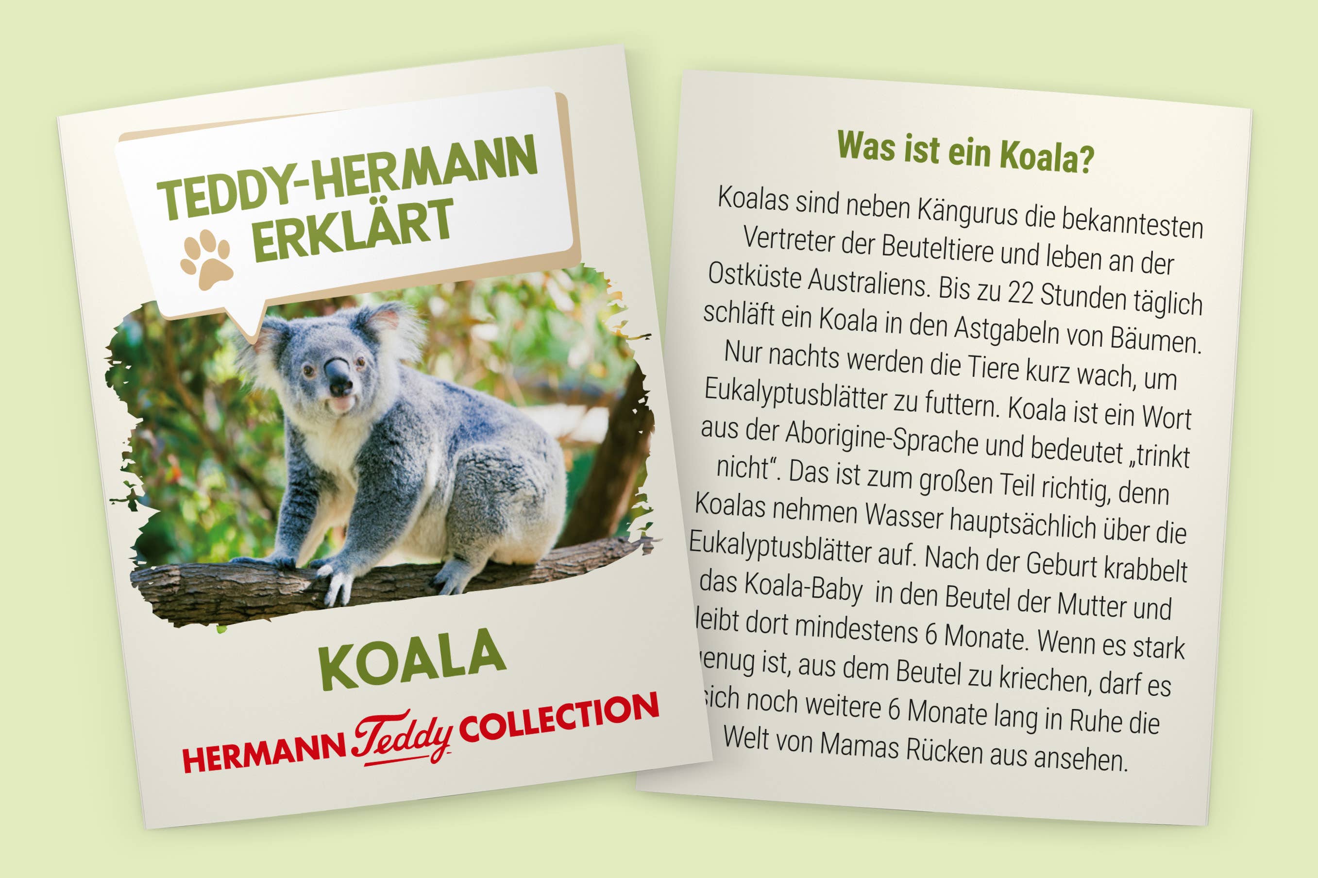 Peluche Koala - Teddy Hermann