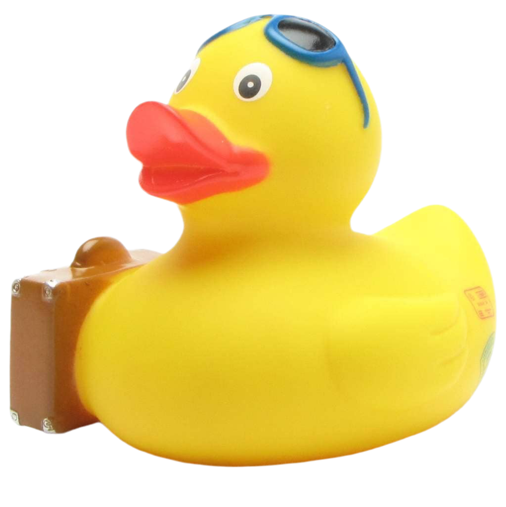 Traveling Duck