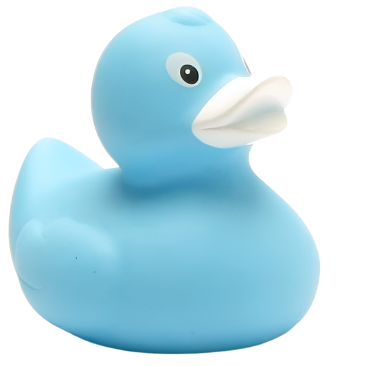 canard classique bleu ciel