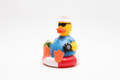 Canard Touriste sur bouée
