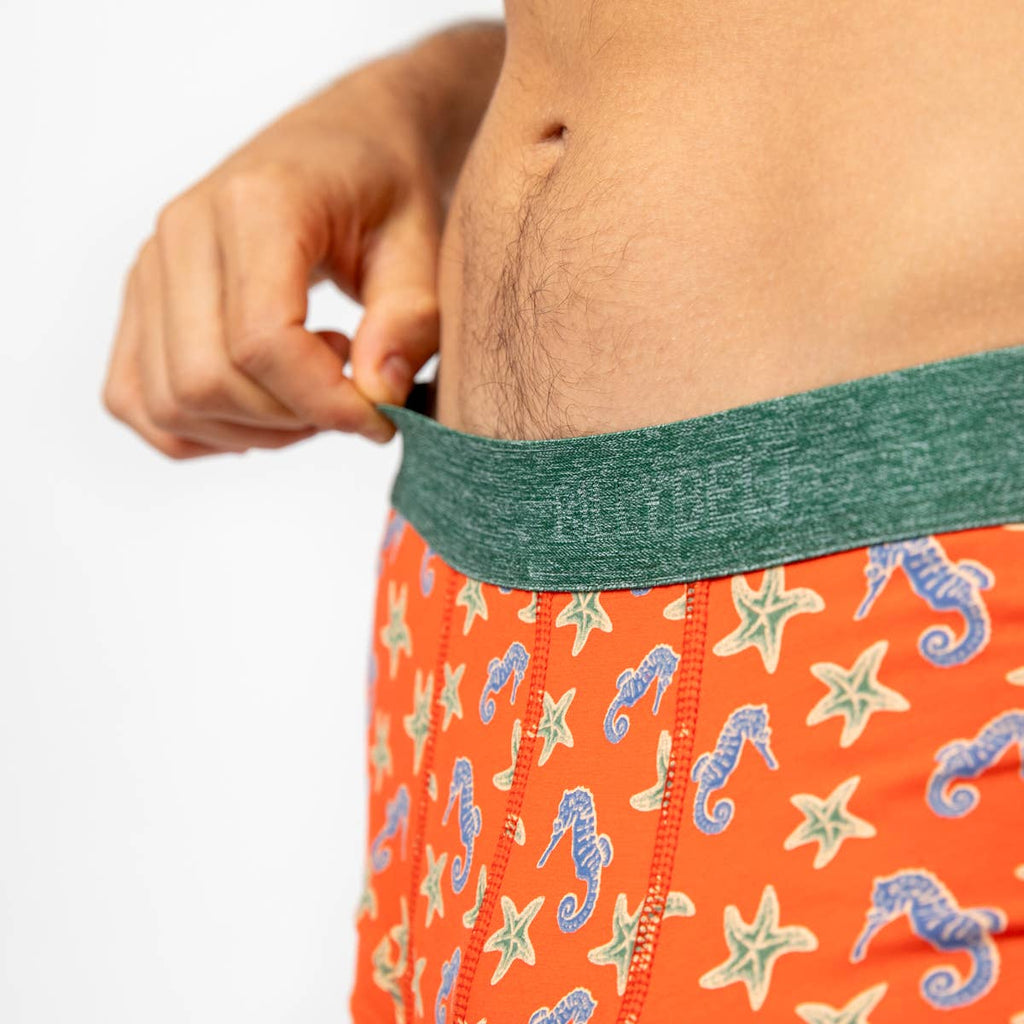 Boxer En Coton Biologique - Hippocampe