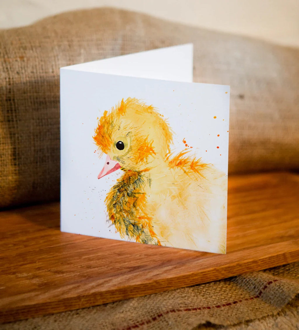 carte de voeux aquarelle caneton kate moby 