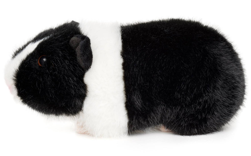 Peluche Cochon d'Inde (noir) Uni Toys