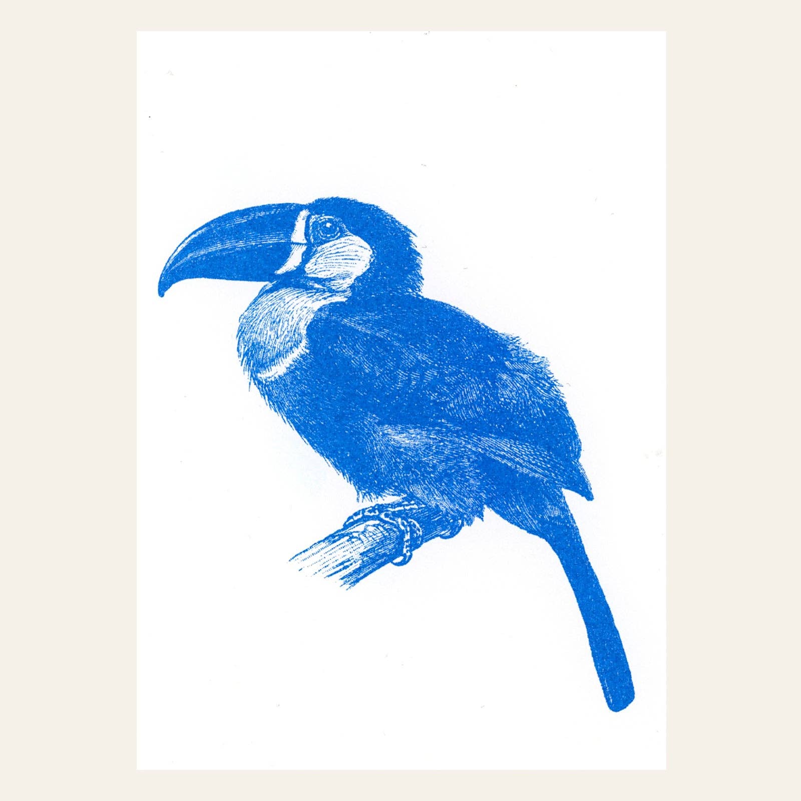Postkarte mit blauem Tukan