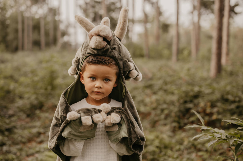 Déguisement Enfant Dino - Wild & Soft