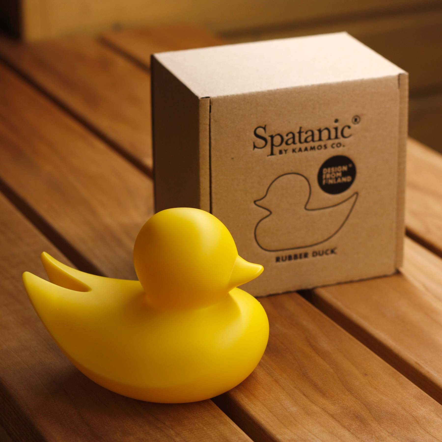 Canard Minimaliste