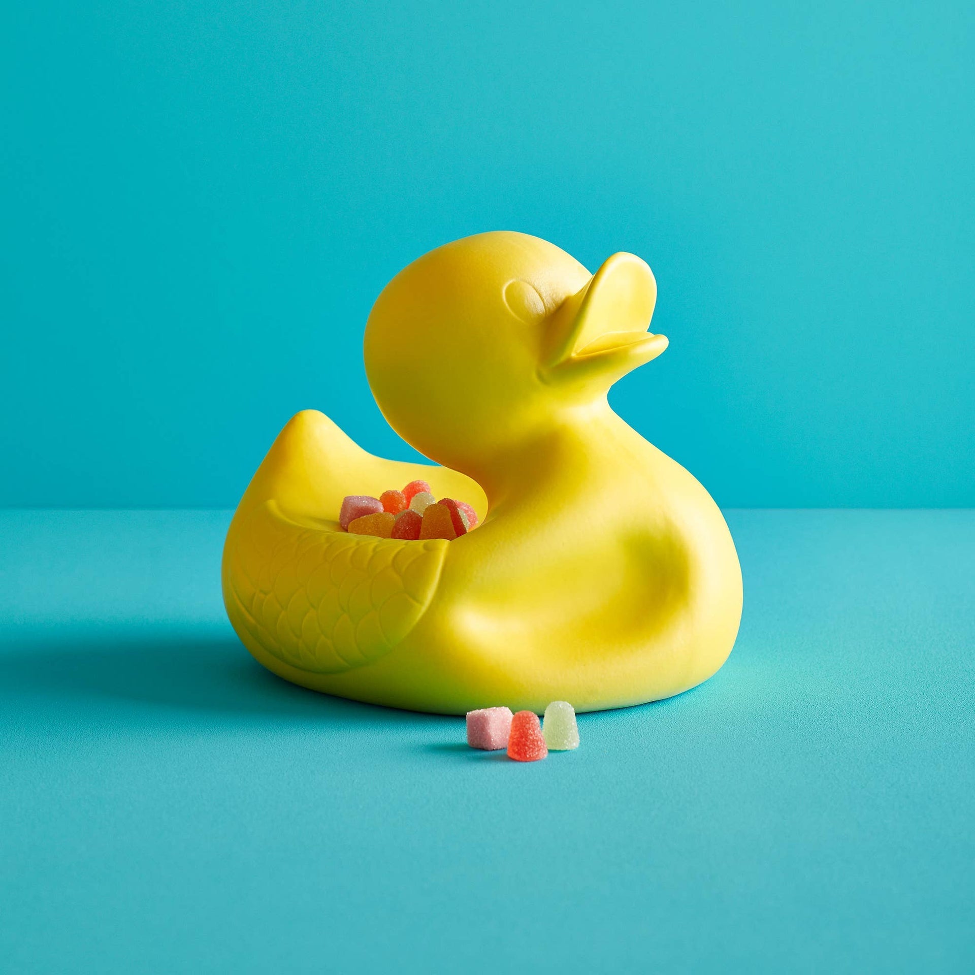 M. Ugly Duckling Amarillo – Jasmin Djerzic – Amarillo – vue 2