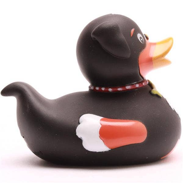 Ente Hund