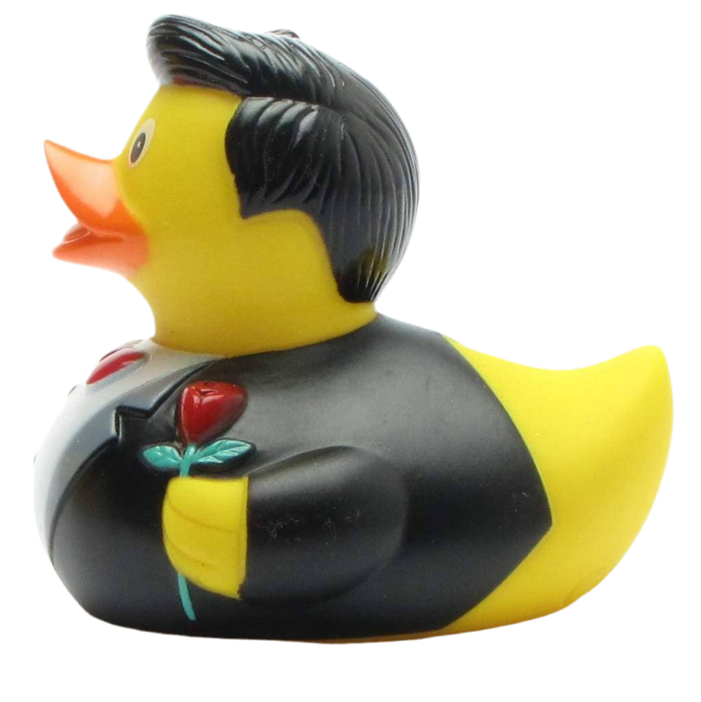 Ballsaal Cavalier Duck