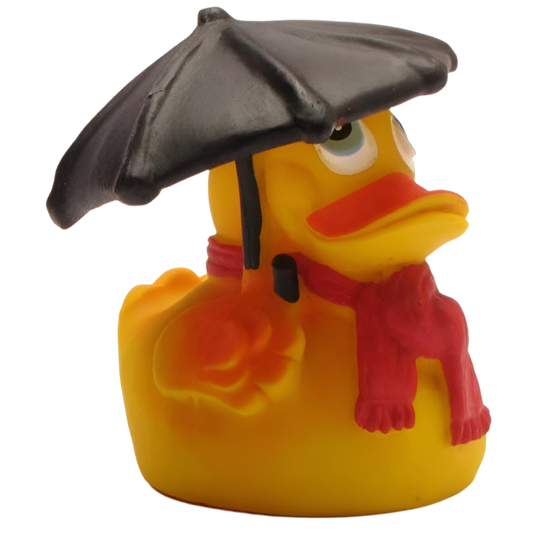 Canard Temps de Pluie