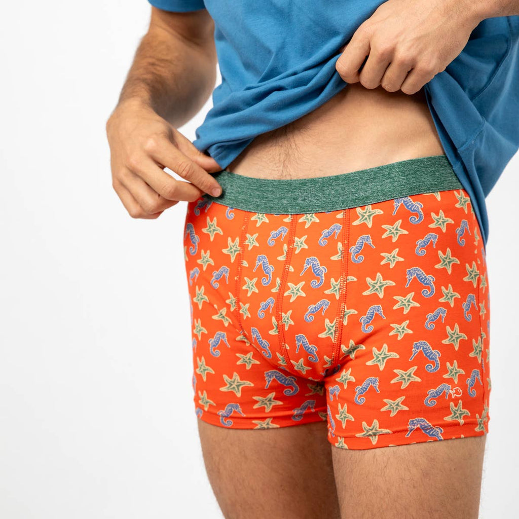 Boxer En Coton Biologique - Hippocampe