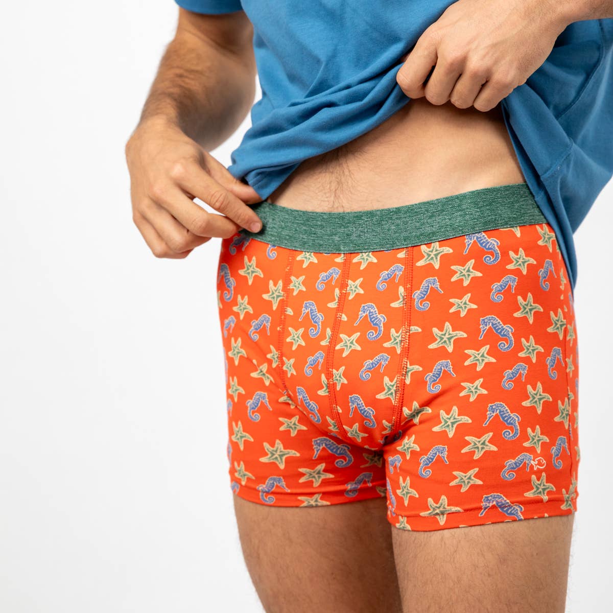 Boxershorts aus Bio-Baumwolle – Seepferdchen