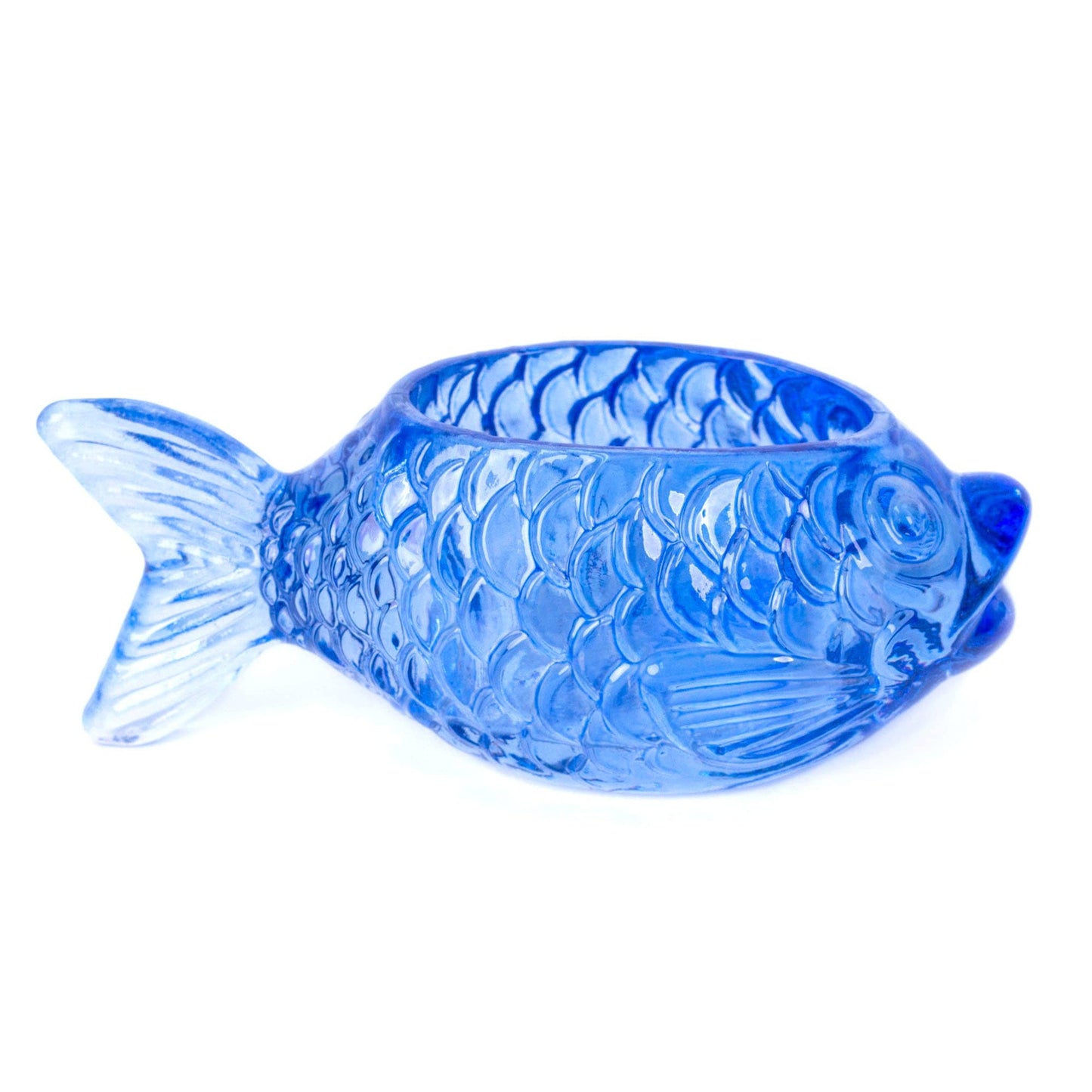 Lot de 3 Conteneurs à Poisson Helio Ferretti Vue 2