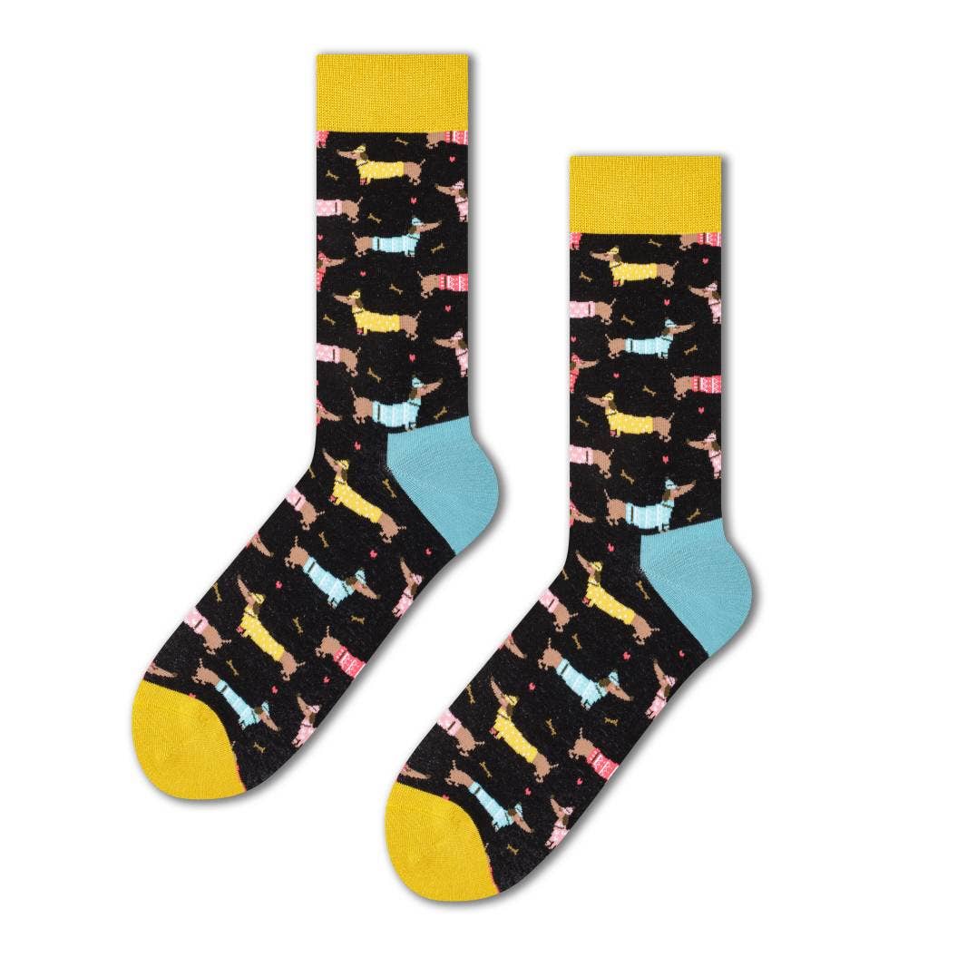 Dachshund socks with sweater