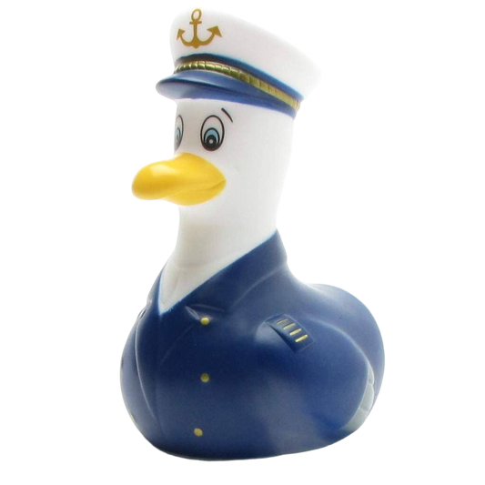 Mouette Capitaine