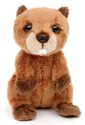 Groundhog Plushie, assise - peluche Uni Toys