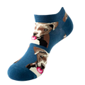 chaussettes courtes pitbull mrcol