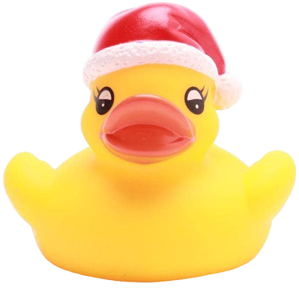Kleine Weihnachtsente