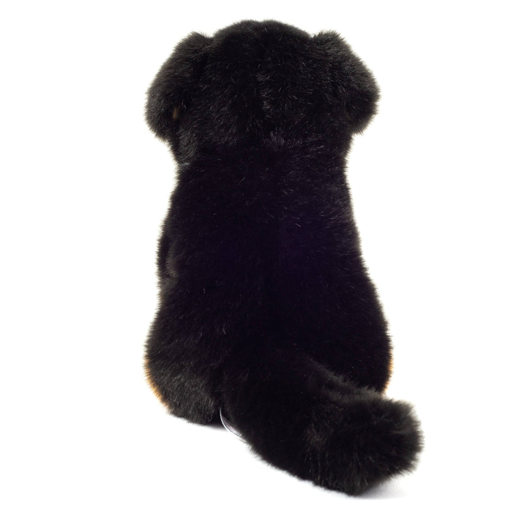 Peluche Bouvier Bernois Assis – 21 cm - Teddy Hermann