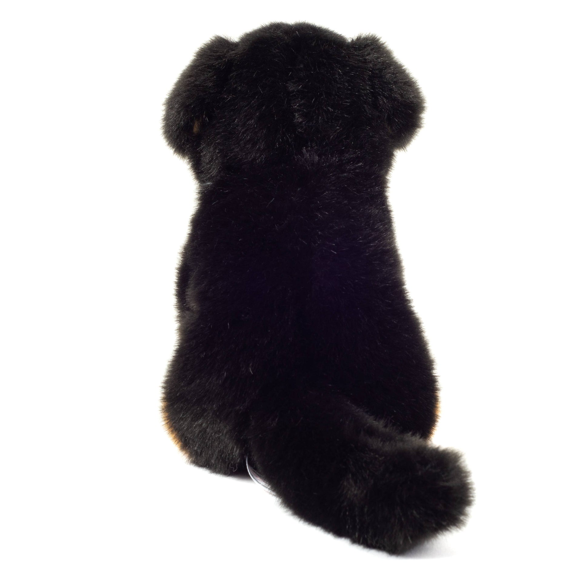 Peluche Bouvier Bernois Assis – 21 cm - Teddy Hermann