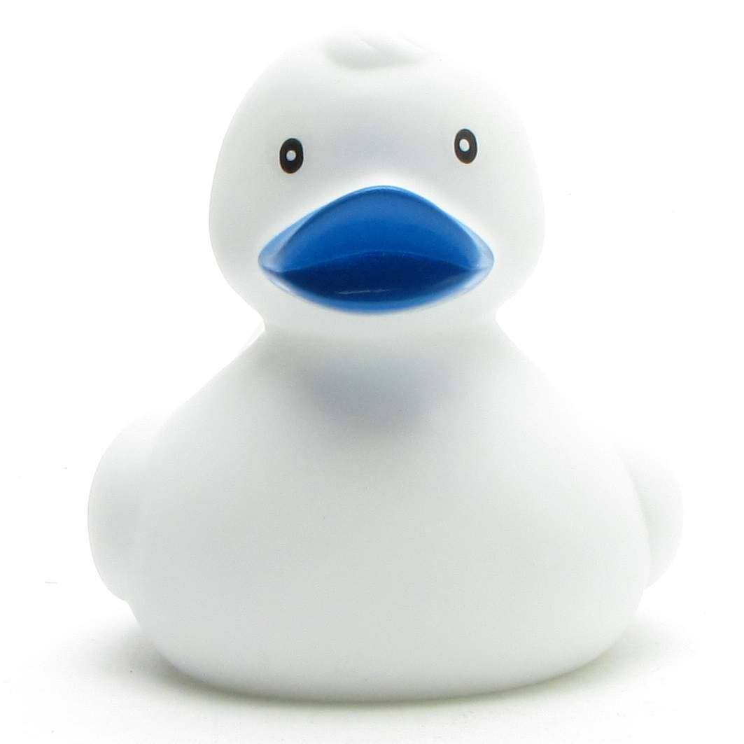 canard classique blanc 1