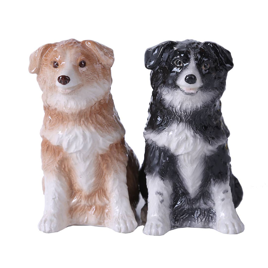 Sel et poivre Border Collies