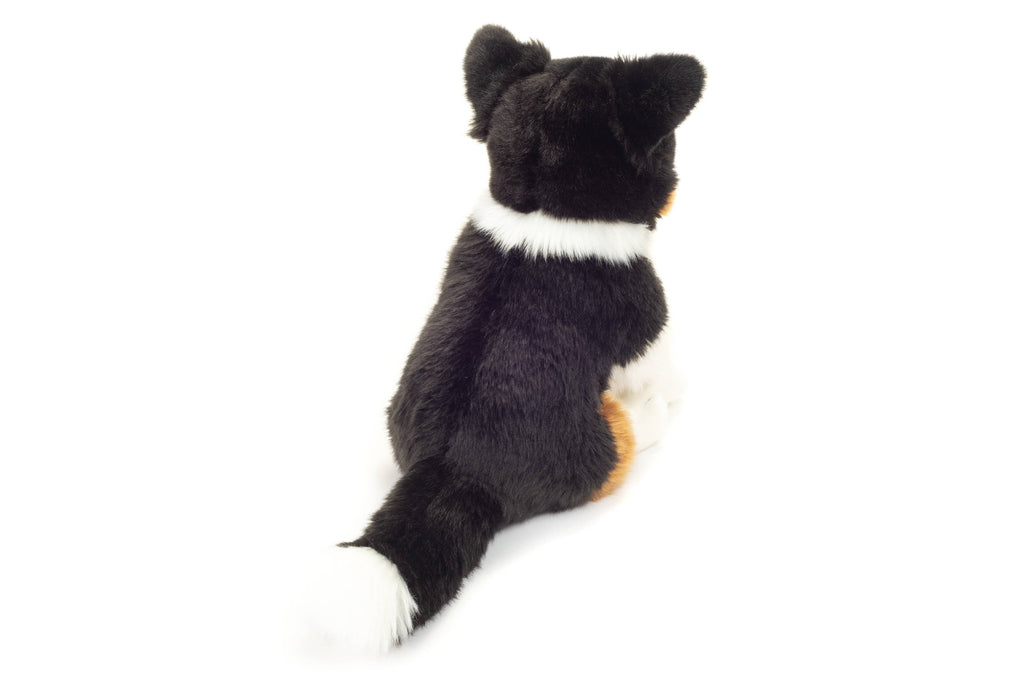 Peluche Border Collie – 30 cm - Teddy Hermann