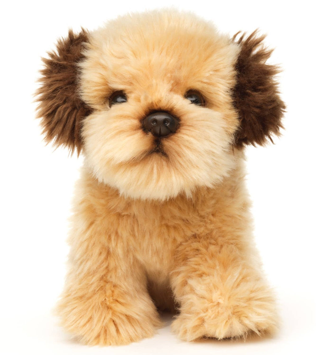 Peluche Shih Tzu Doodle, assis Uni Toys