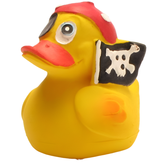 Canard Pirate