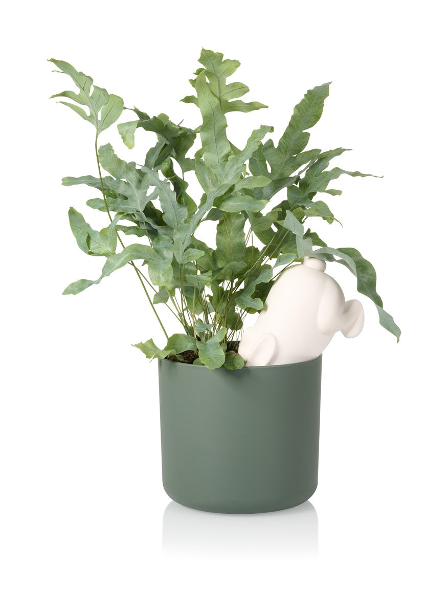 arroseur autonome lapin bunny bitten