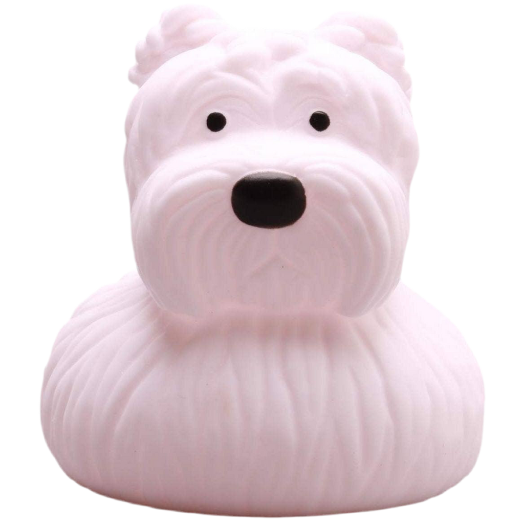 pato terrier ecossais elgate products