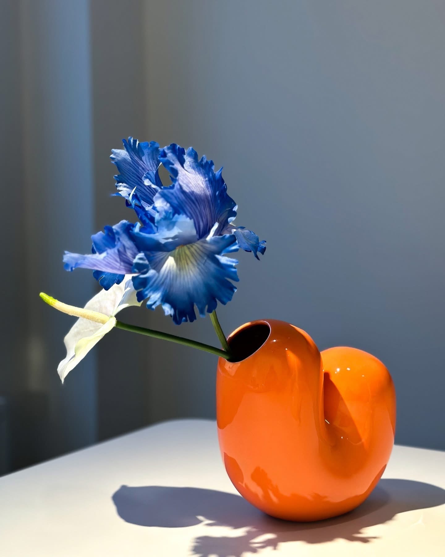 Vase Sulcus