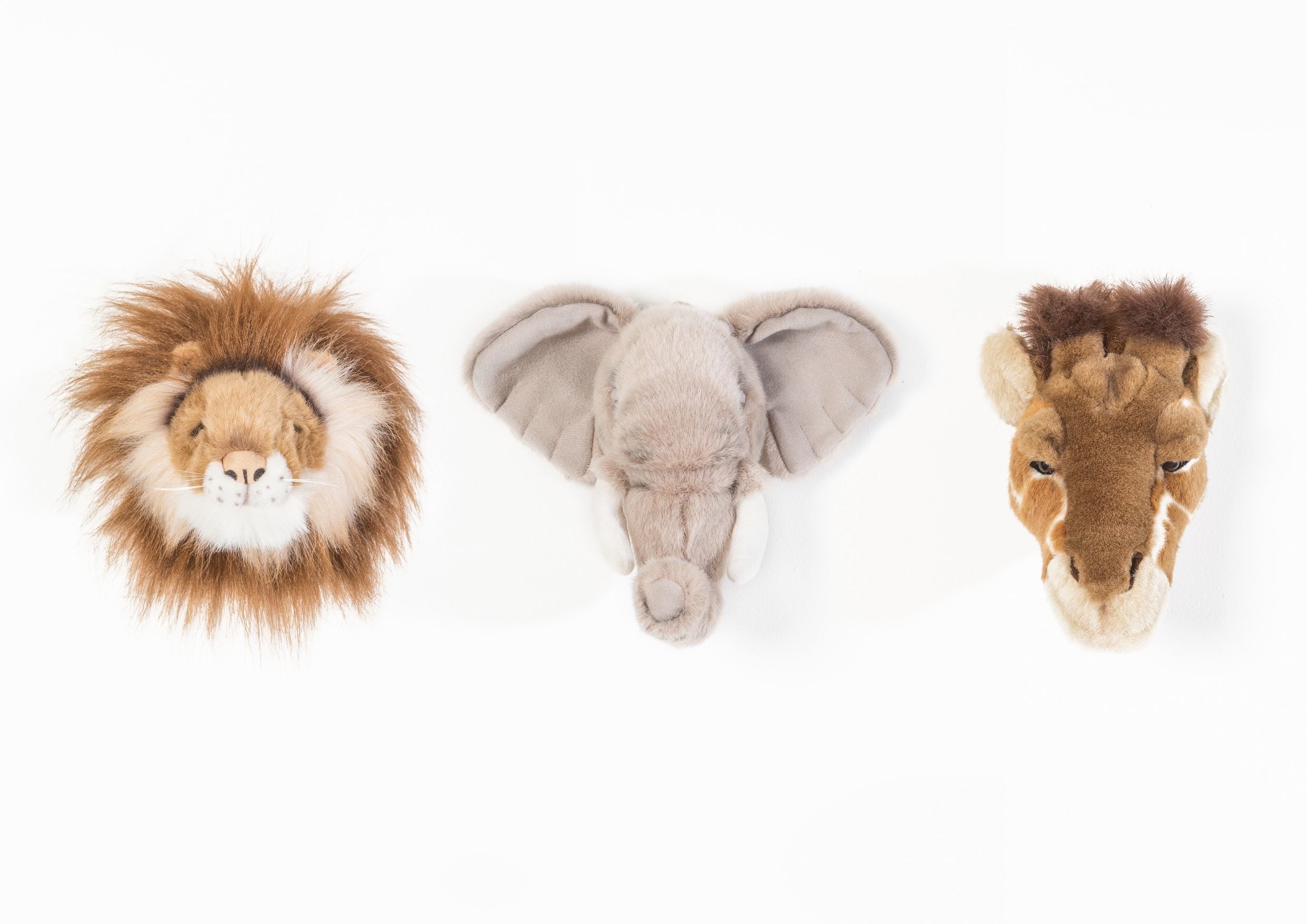 Mini têtes décoratives : Coffret Safari - Wild & Soft