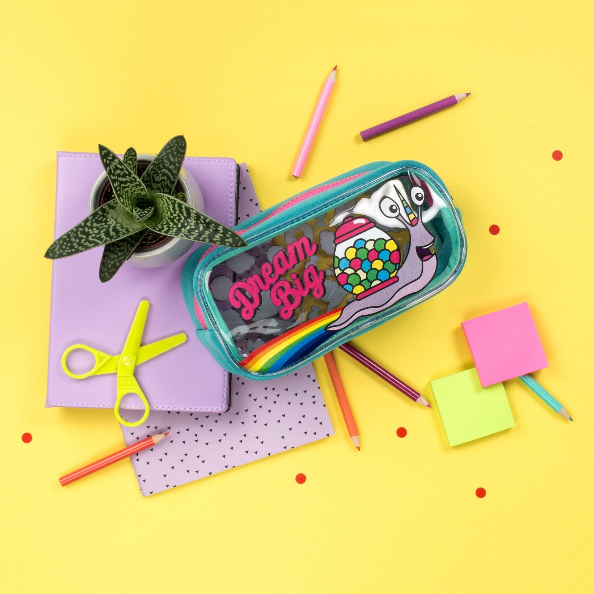 Trousse scolaire – PVC – Snail