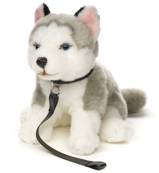 Graues Husky-Plüschtier, sitzend (mit Leine)