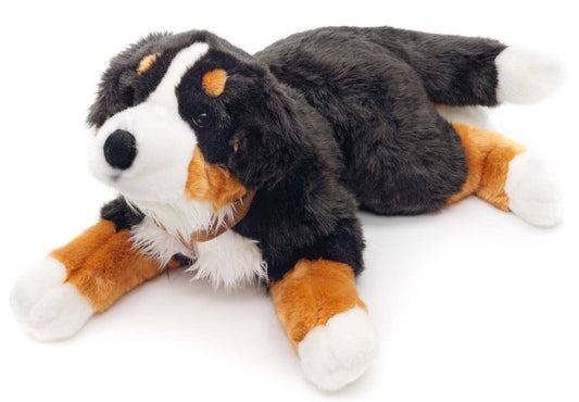 Liegender Berner Sennenhund Plüschtier (mit Geschirr)
