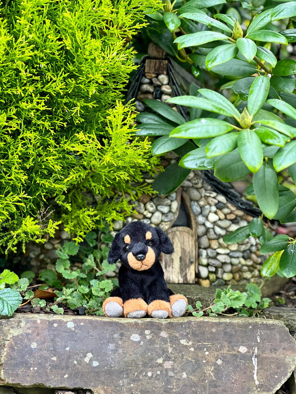Cuddle Cub Rottweiler Plush Toy