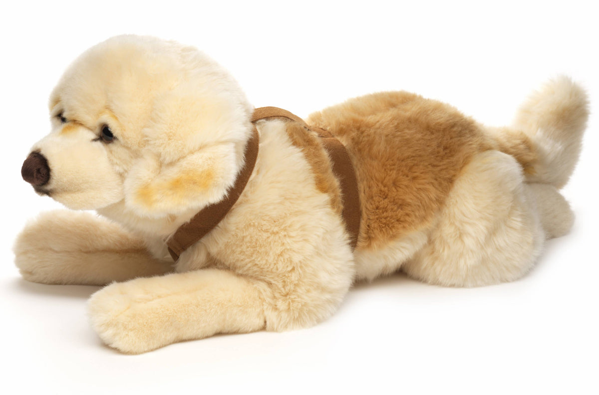 Peluche Golden Retriever, couché (avec harnais) Uni Toys