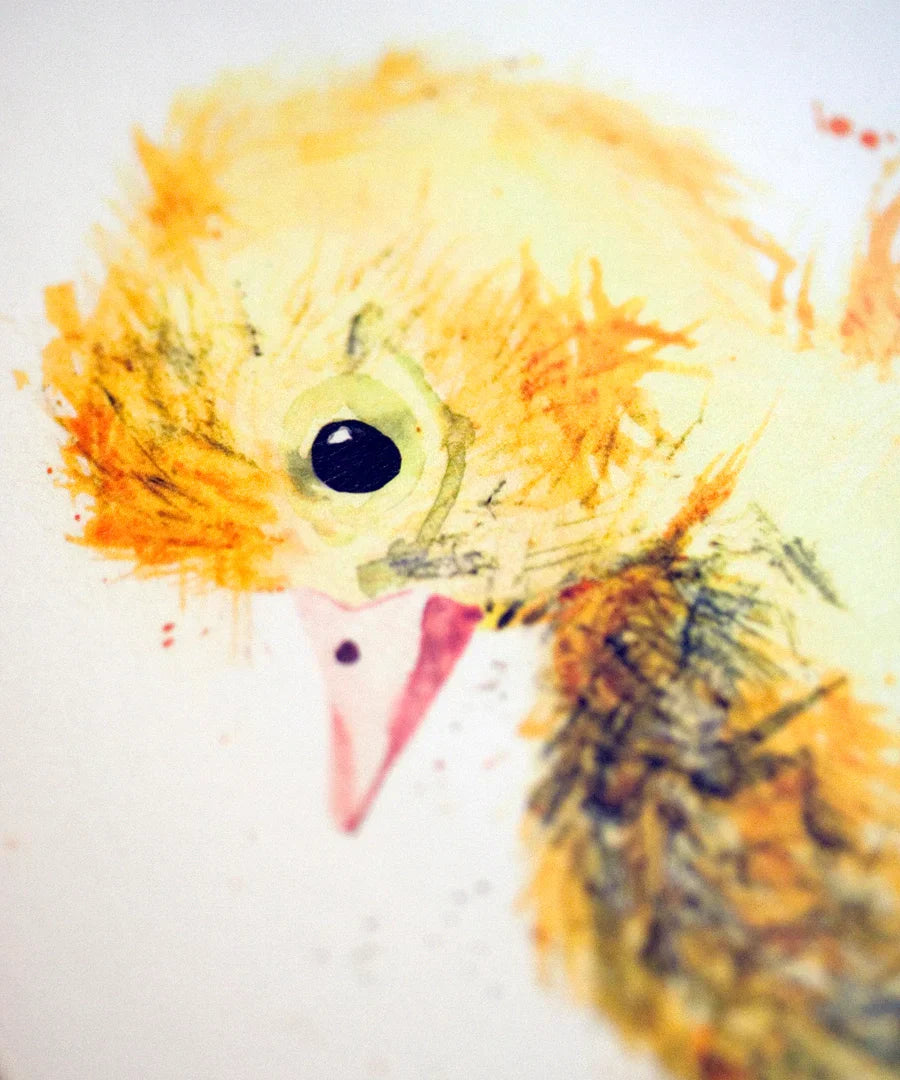 carte de voeux aquarelle caneton kate moby 