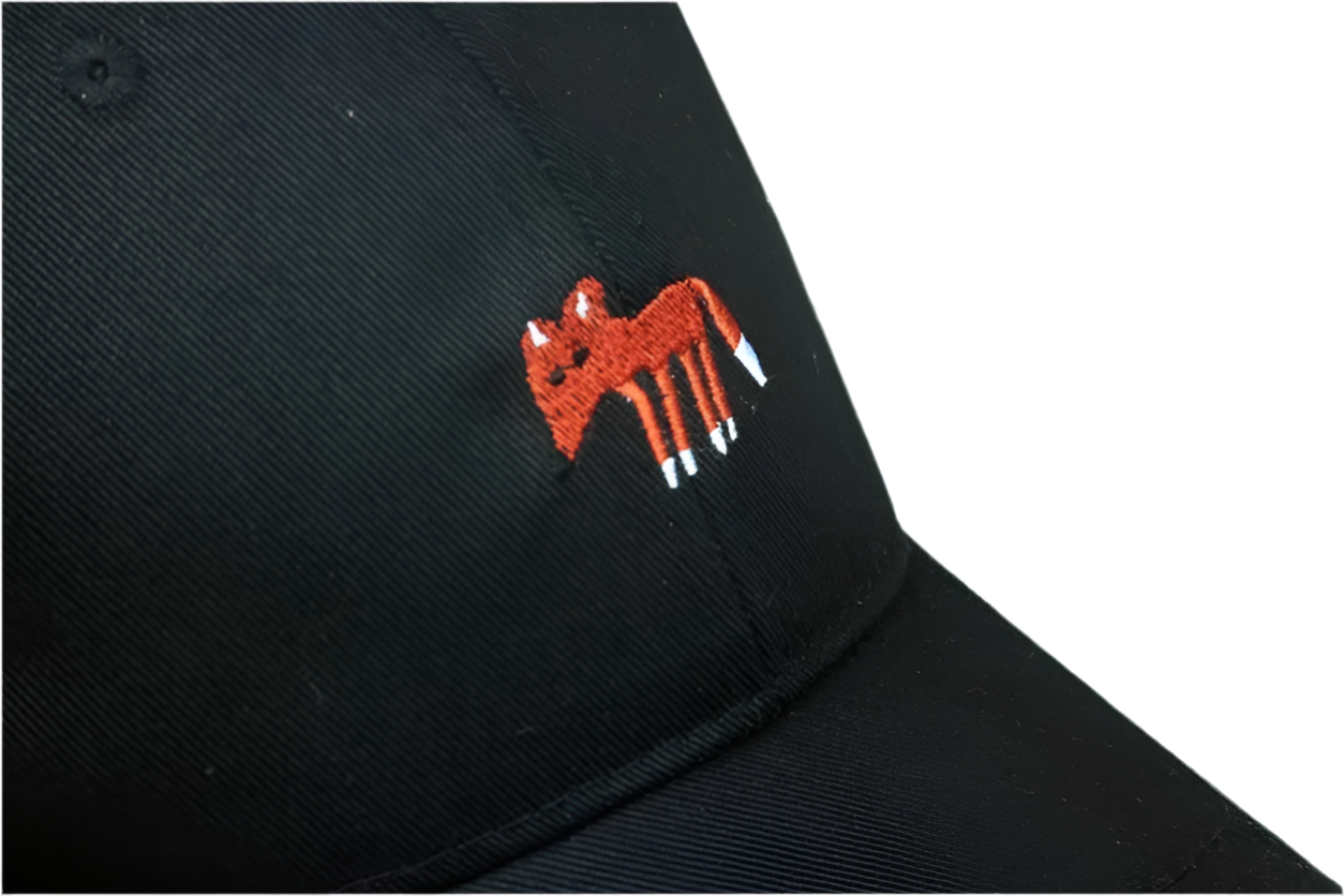 casquette renard brode mr colvert 