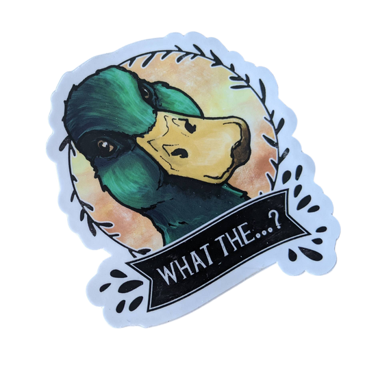 quest ce que lautocollant canard 