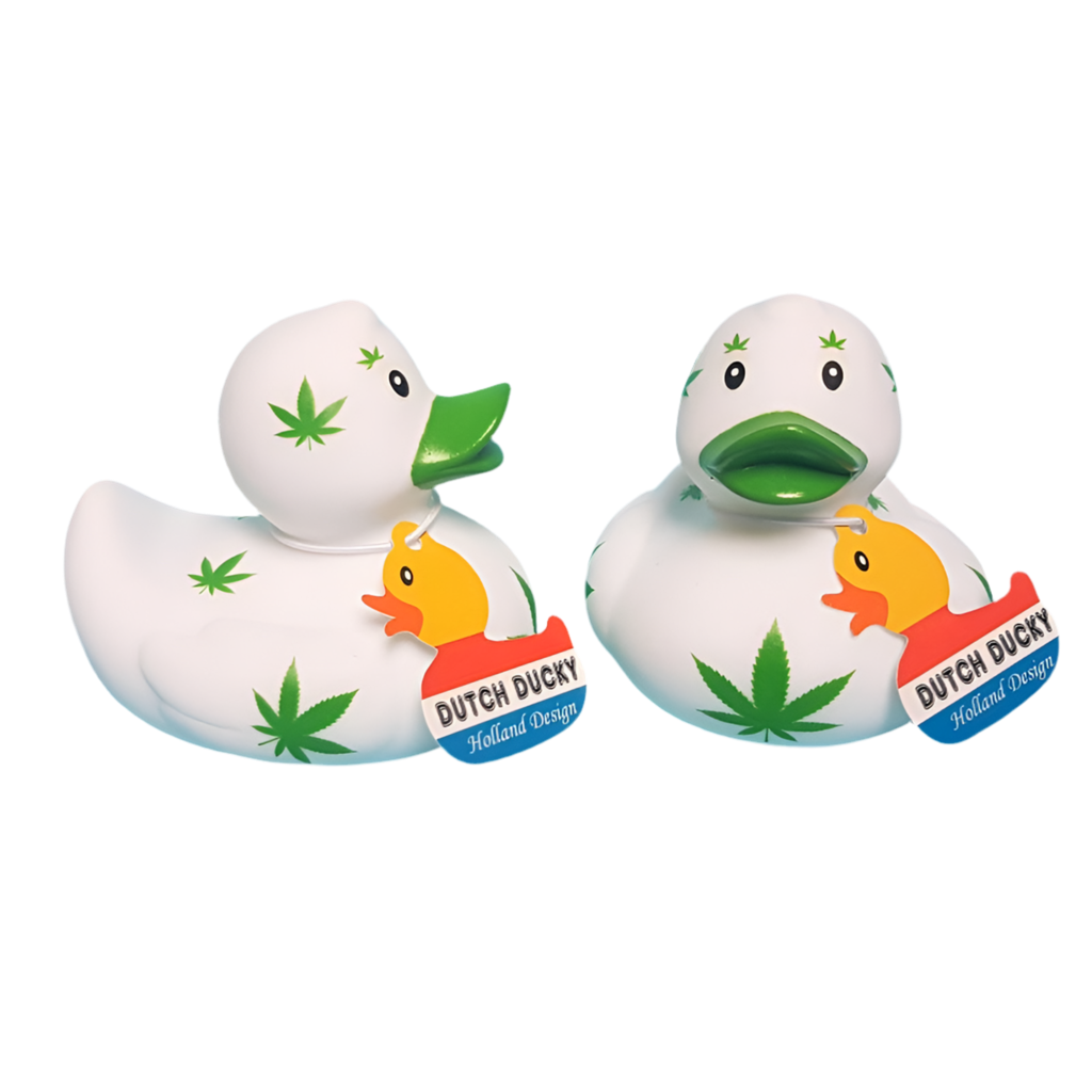 Cannabis de pato