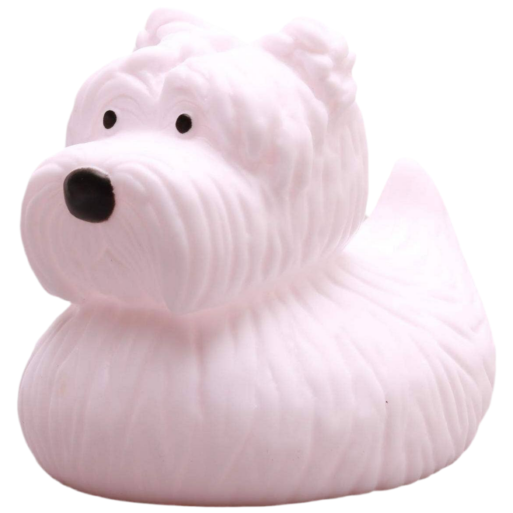 pato terrier ecossais elgate products