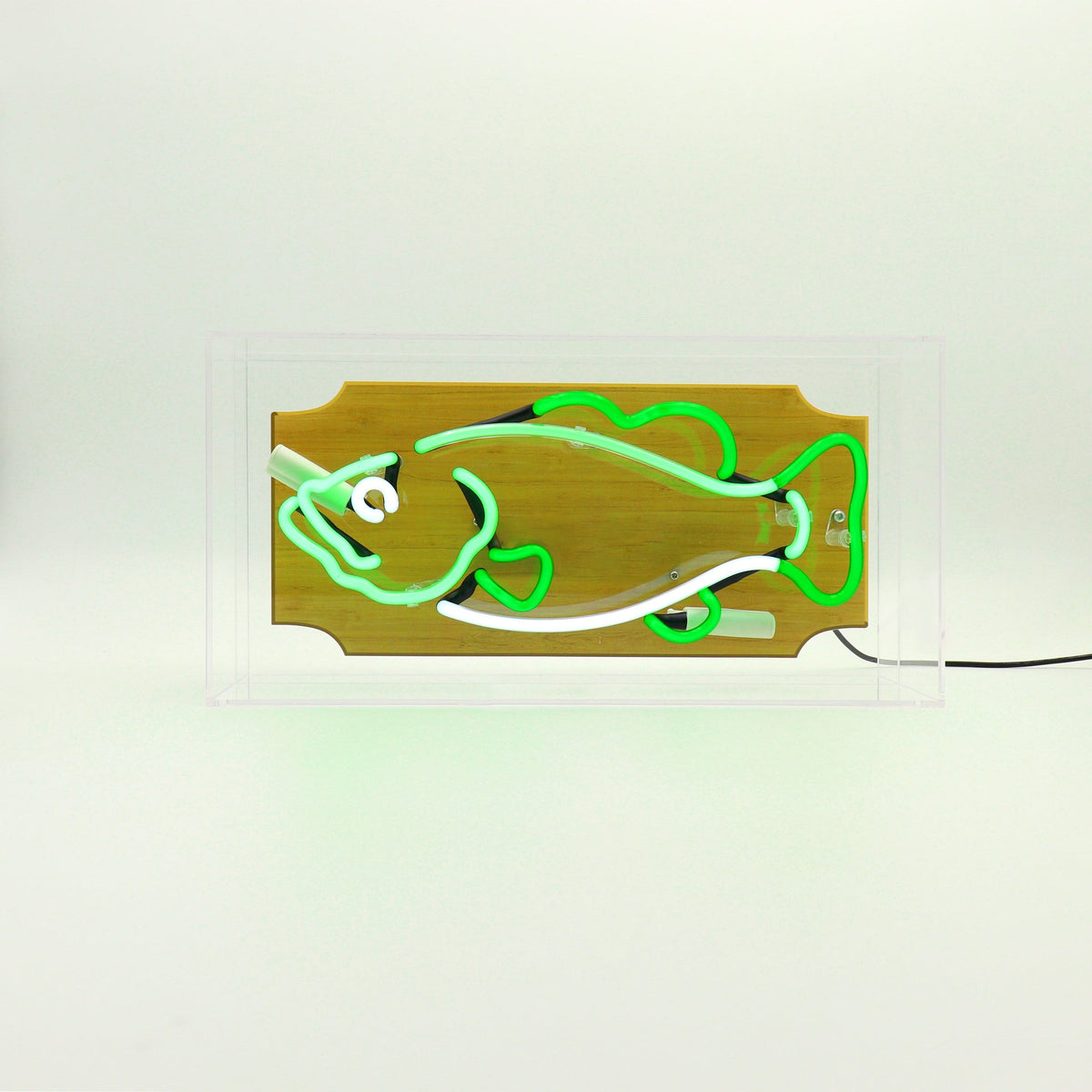 'Trophy Fish' Glass Neon Box Sign - Green – Locomocean