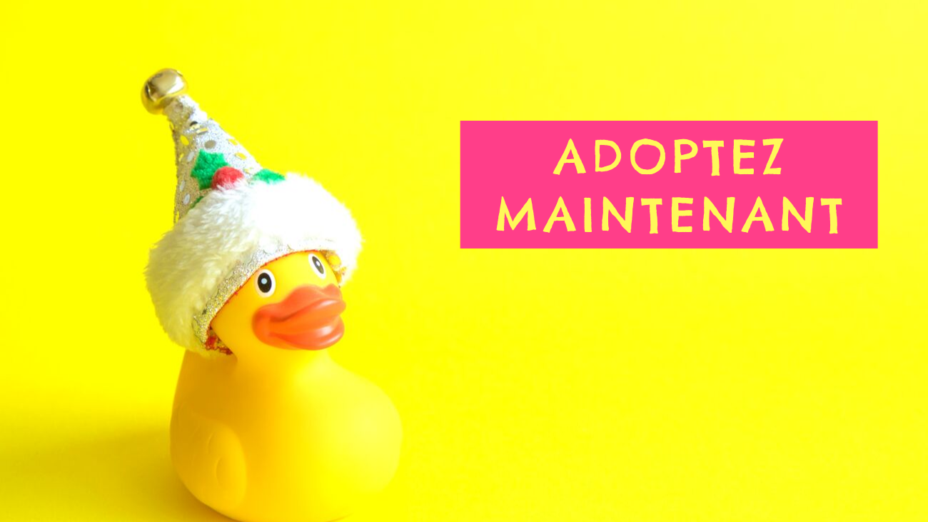 carte cadeau coincaillerie 