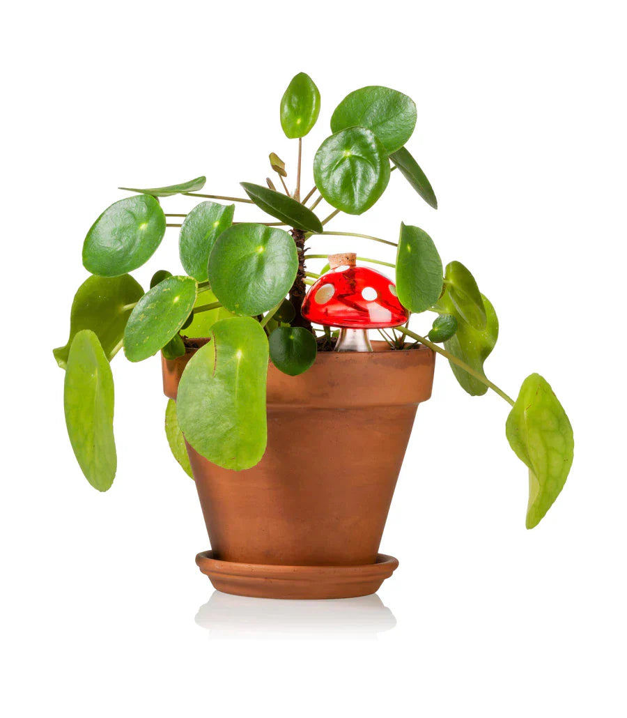 Arroseur Autonome Champignon Bitten – Objet déco original