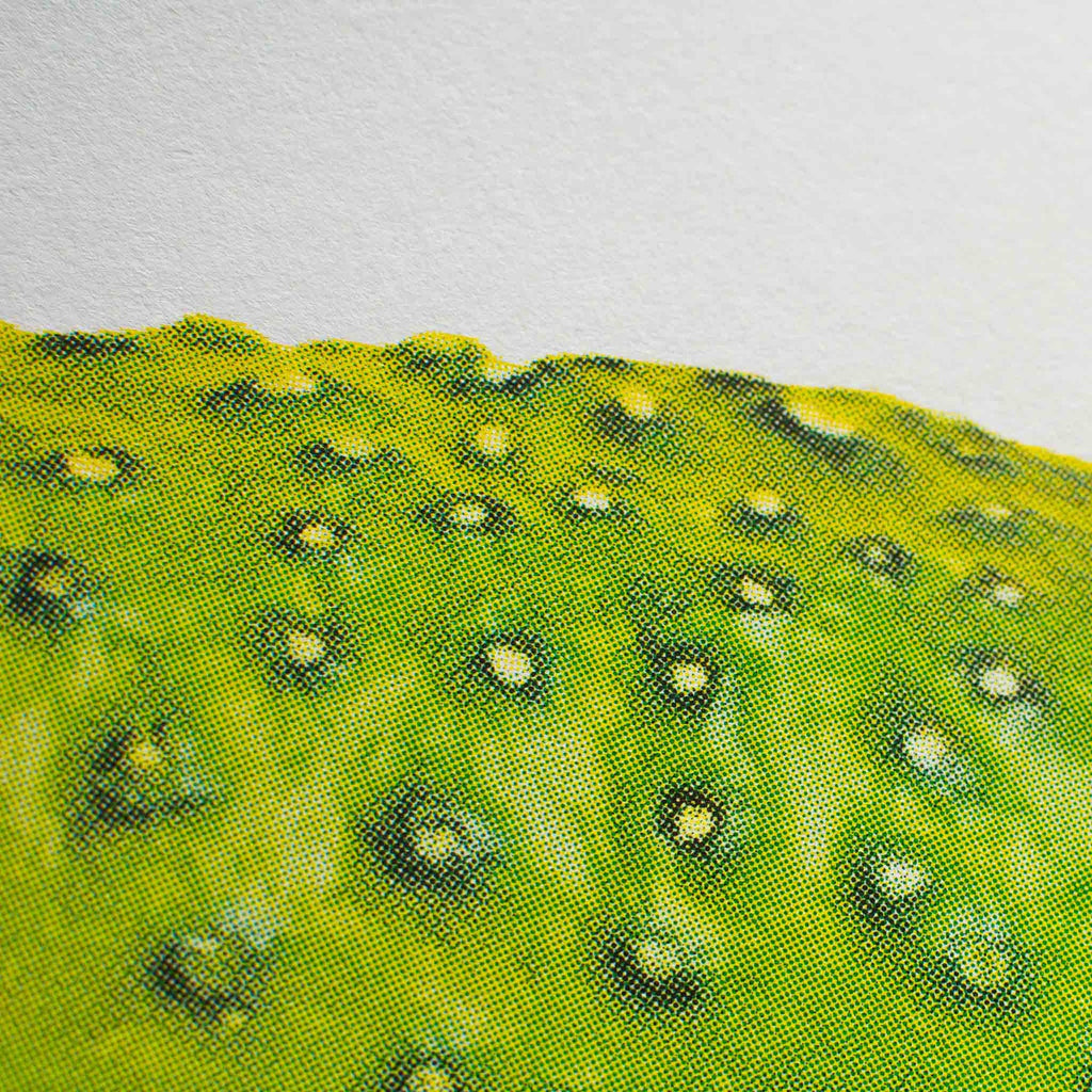Artprint Pickle