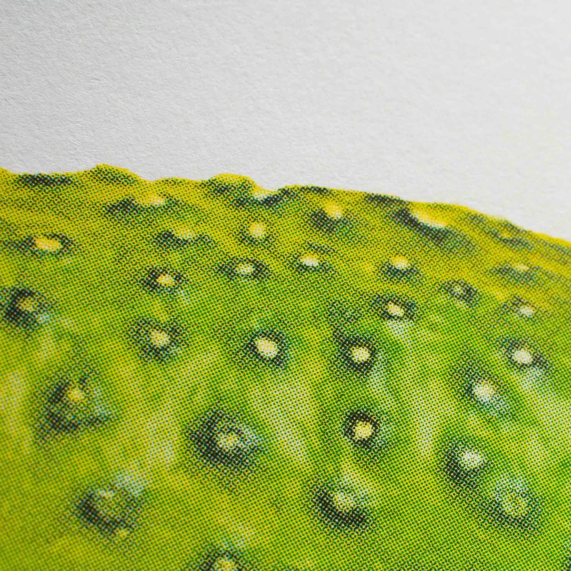 Artprint Pickle